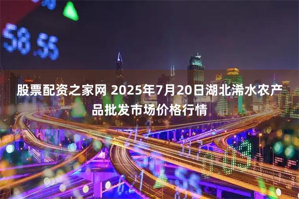 股票配资之家网 2025年7月20日湖北浠水农产品批发市场价格行情